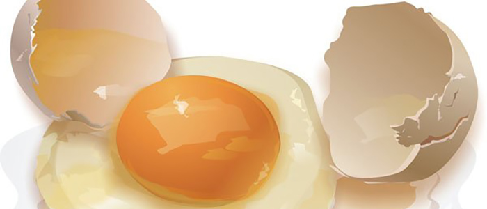 egg
