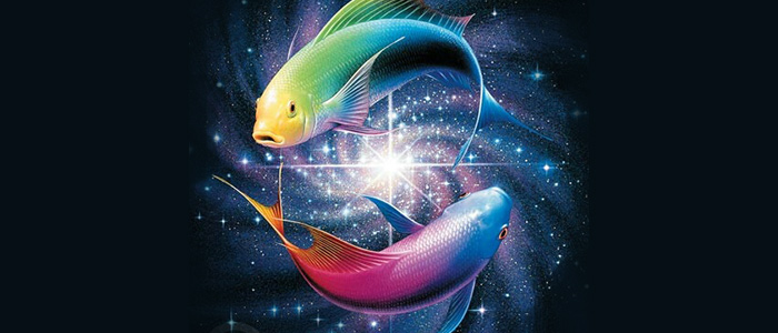fishes